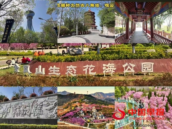 1748093847875261.jpg 图片4.jpg