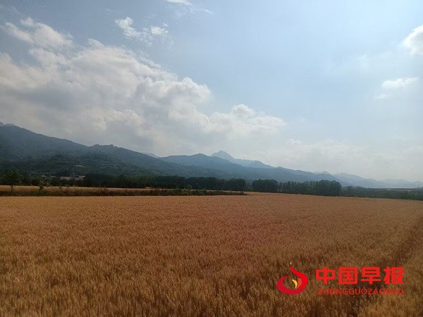 1748331568463398.jpg 微信图片_20250527153738.jpg