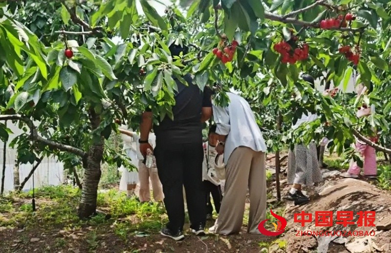 1748879345160061.jpg 微信图片_20250602233528_副本.jpg