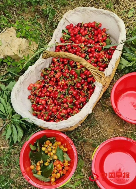 1748879357184622.jpg 微信图片_20250602233532_副本.jpg