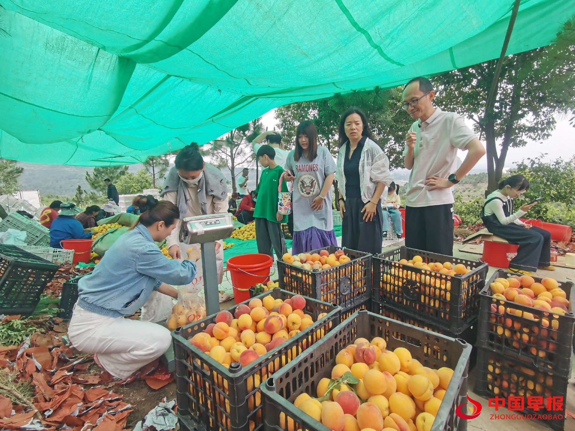 1748905422129889.jpg 1748905422129889.jpg