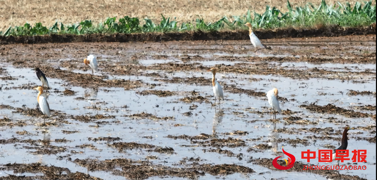 1749165500191325.png 1749165500191325.png