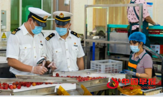 1749270704880661.png 44.png