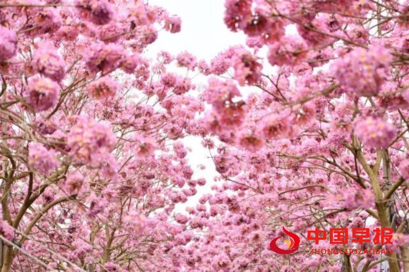 1749447623146689.jpg 1_副本.jpg