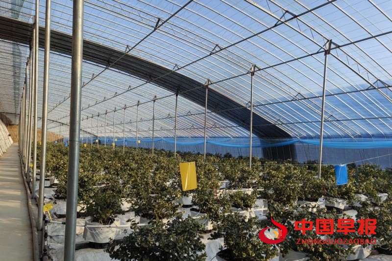 1749473211364190.jpg 2_副本.jpg