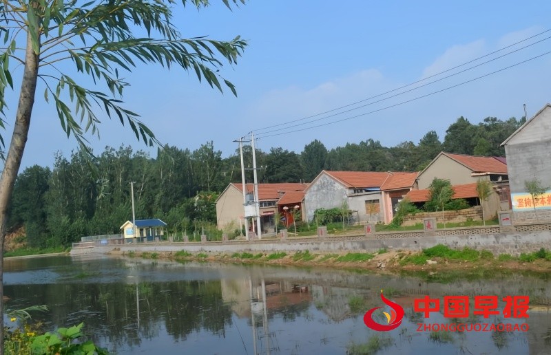 1749613118128035.jpg 2_副本.jpg