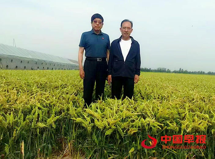 1749629080154187.jpg 图片08.jpg