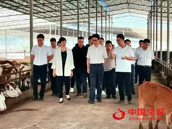 1749647510184453.jpg 微信图片_20250611204807.jpg