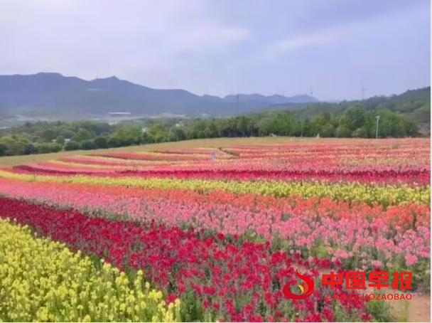 1749719469738325.png 2.png