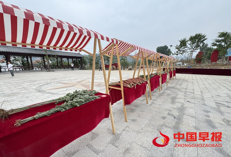 1749805338203934.jpg 微信图片_20250613164740_副本.jpg