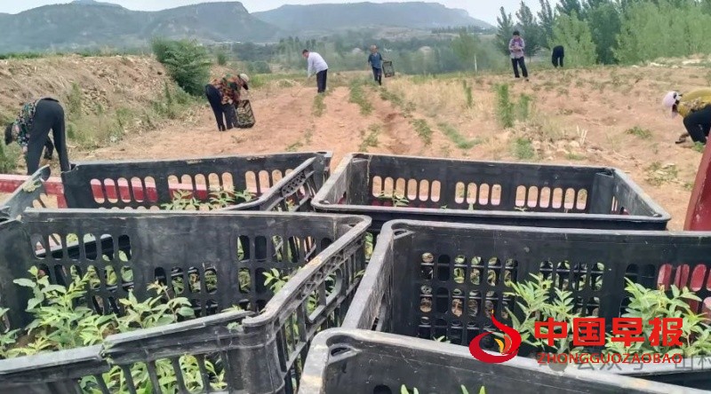 1749919043484490.jpg 微信图片_20250615003103_副本.jpg