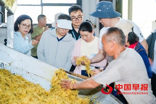 国家中药材产业技术体系太子参单品种攻关工作会议在贵州施秉举办(图4)