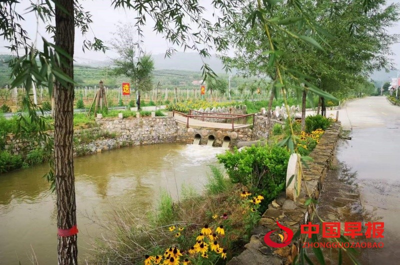 1750173077208383.jpg 3_副本.jpg