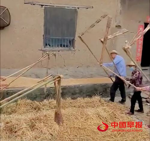 杜鸿：《绣花田园》(图9)