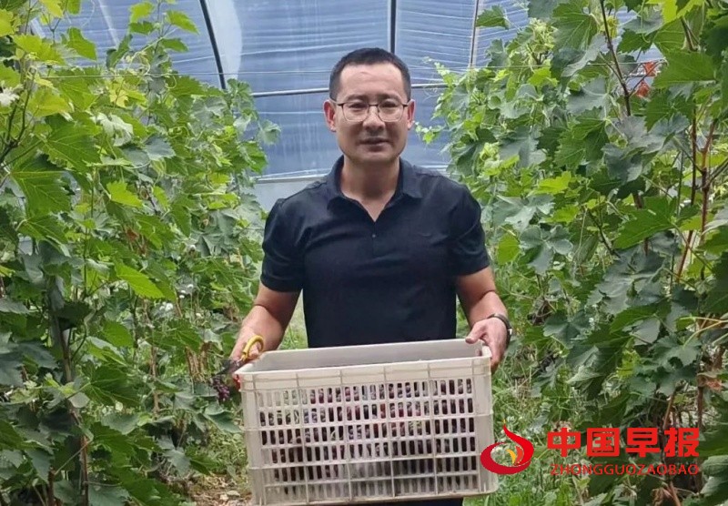 1750348401127769.jpg 640 (2)_副本.jpg