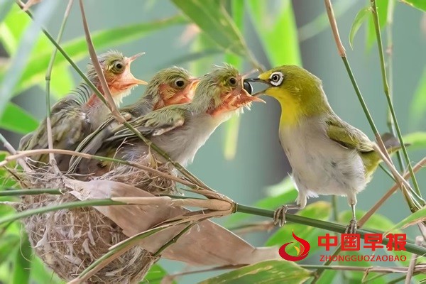 1750508197189674.jpg 微信图片_20250621201414.jpg