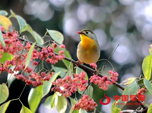 1750508234186713.jpg 微信图片_20250621201420.jpg