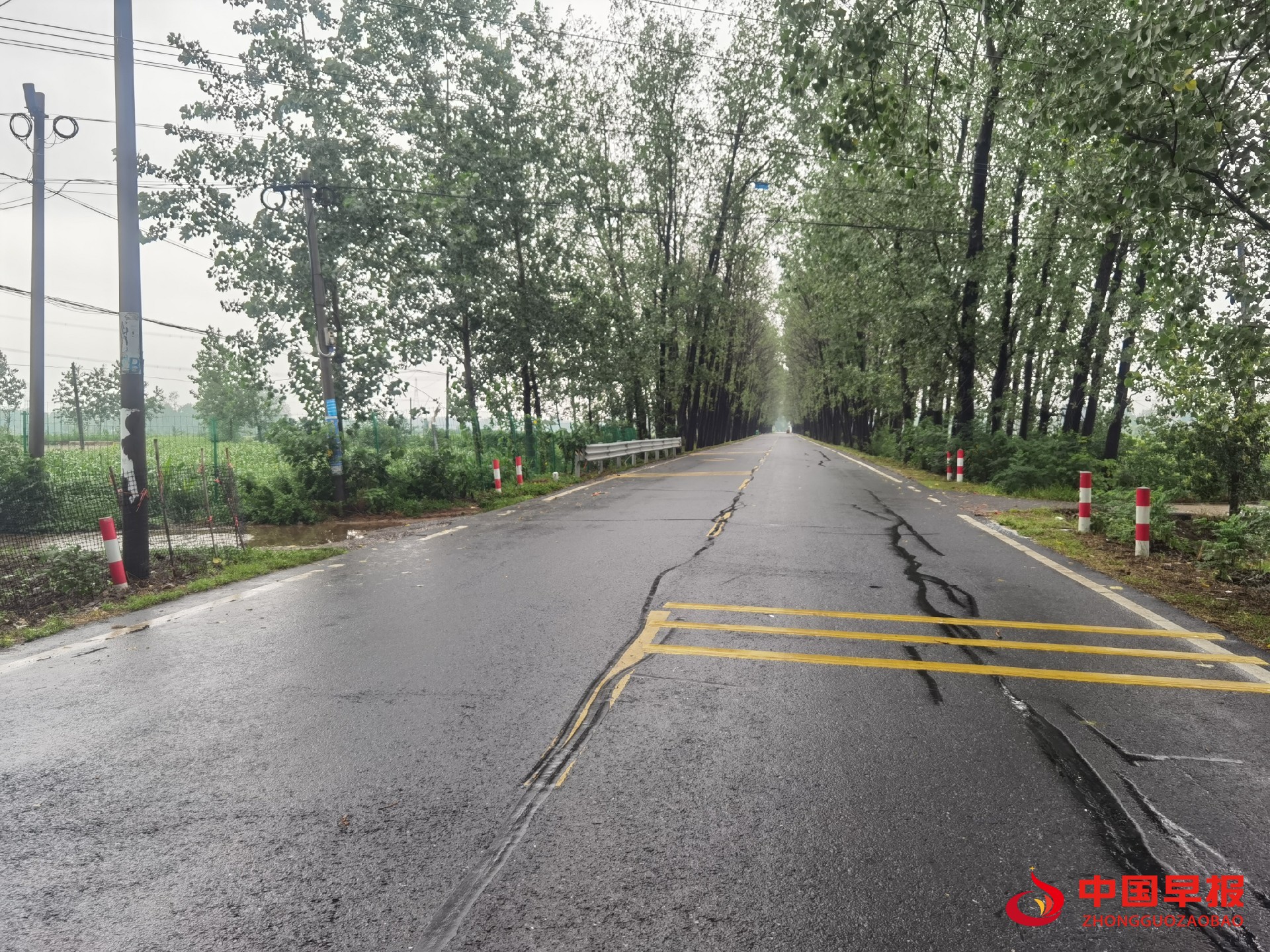 1750716429314175.jpg 1750716429314175.jpg