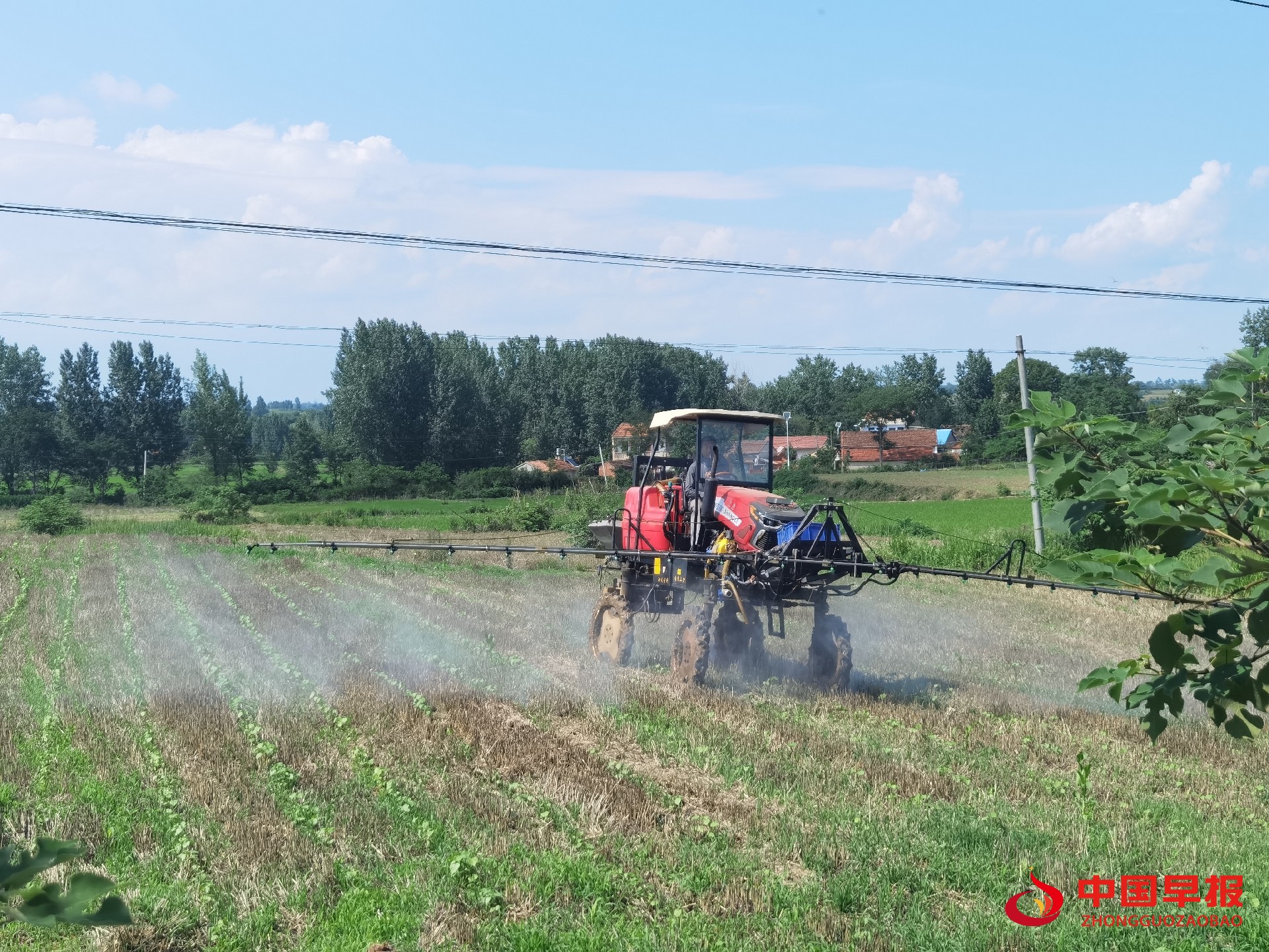 1750716574119043.jpg 1750716574119043.jpg