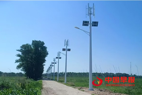 黑龙江省肇东市昌五镇四井村：乡村新能源 照亮振兴路(图3)