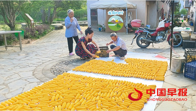 1751164317119898.png 22.png