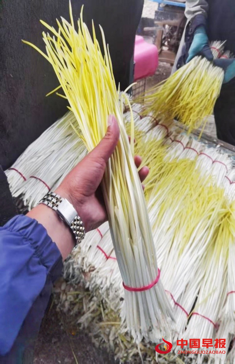 1751556369545365.jpg 1_副本.jpg