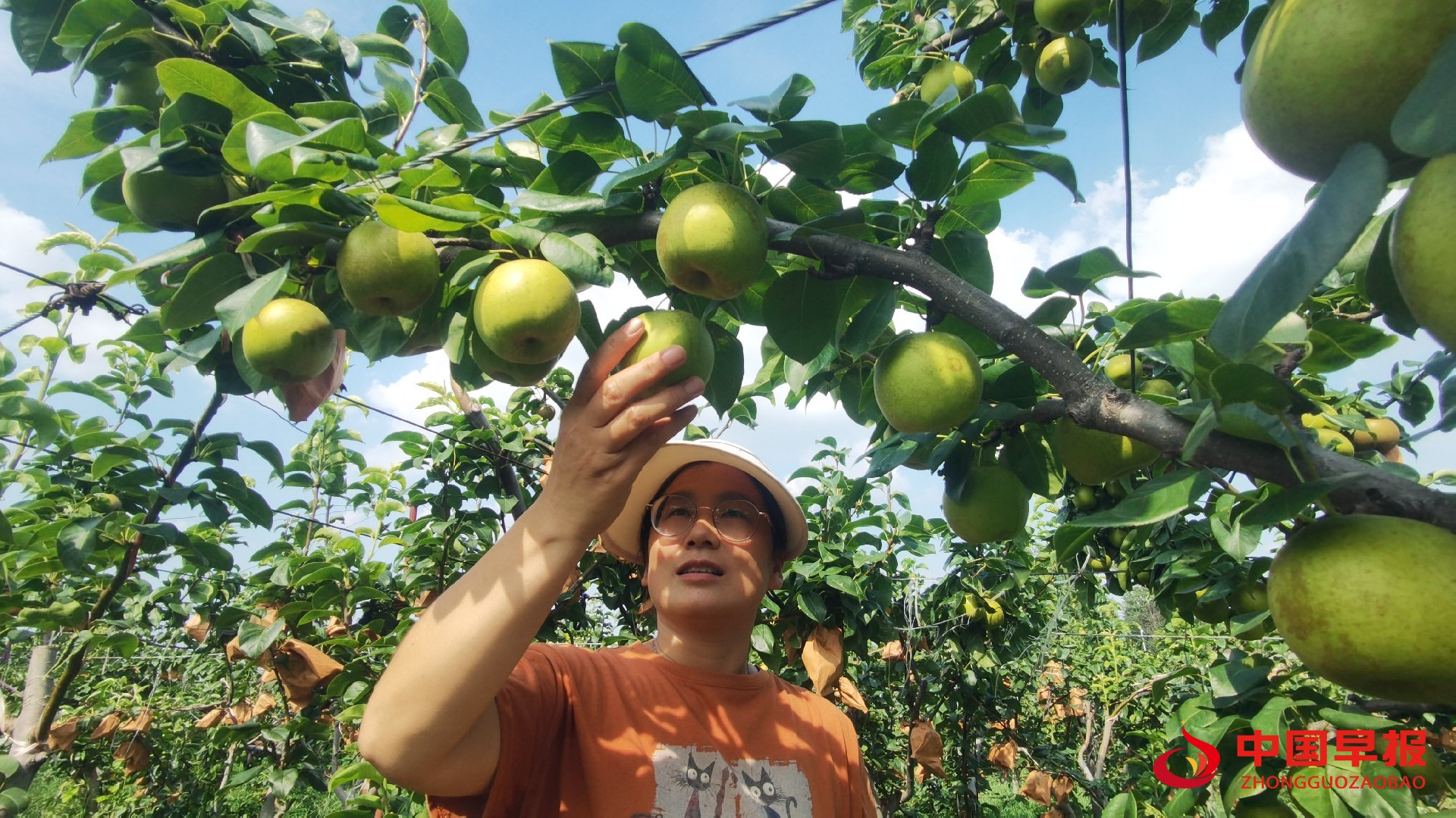 1751946723274294.jpg 1751946723274294.jpg