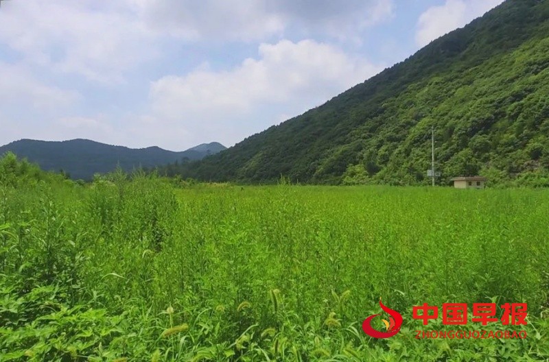 1751989425181506.jpg 640_副本.jpg