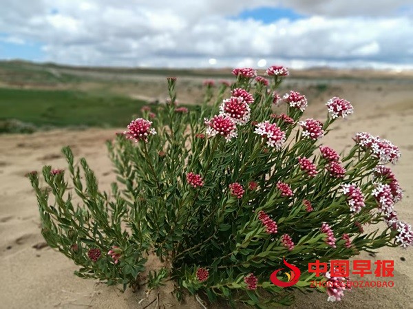 1752028949186403.jpg 微信图片_20250709103018.jpg