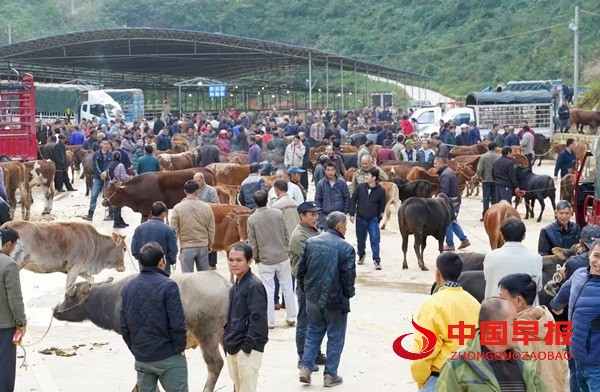 1752240273205729.jpg 微信图片_20250711211858.jpg