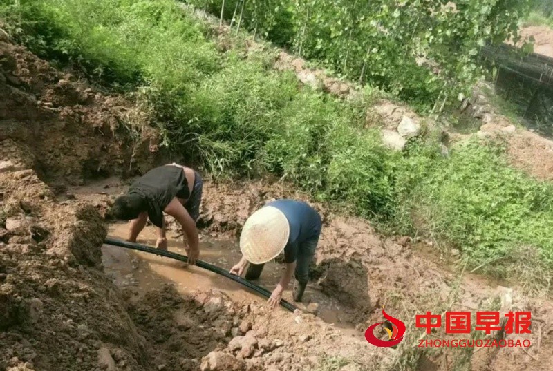 1752251085363454.jpg 640 (2)_副本.jpg