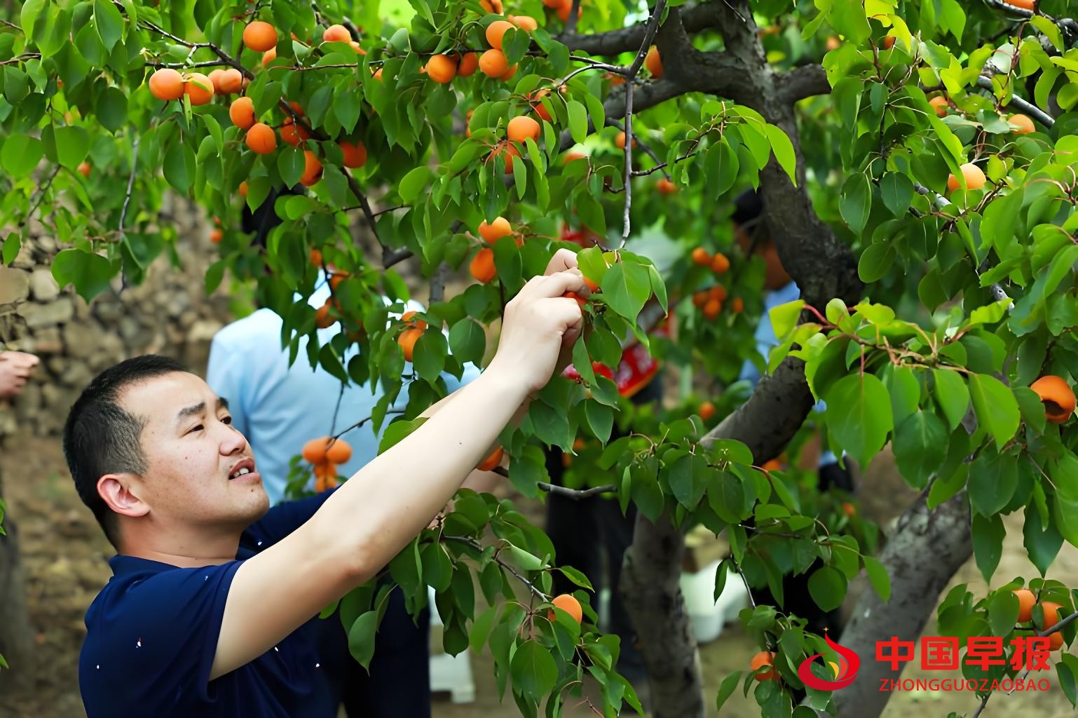 1752806873569589.jpg 图片01.jpg