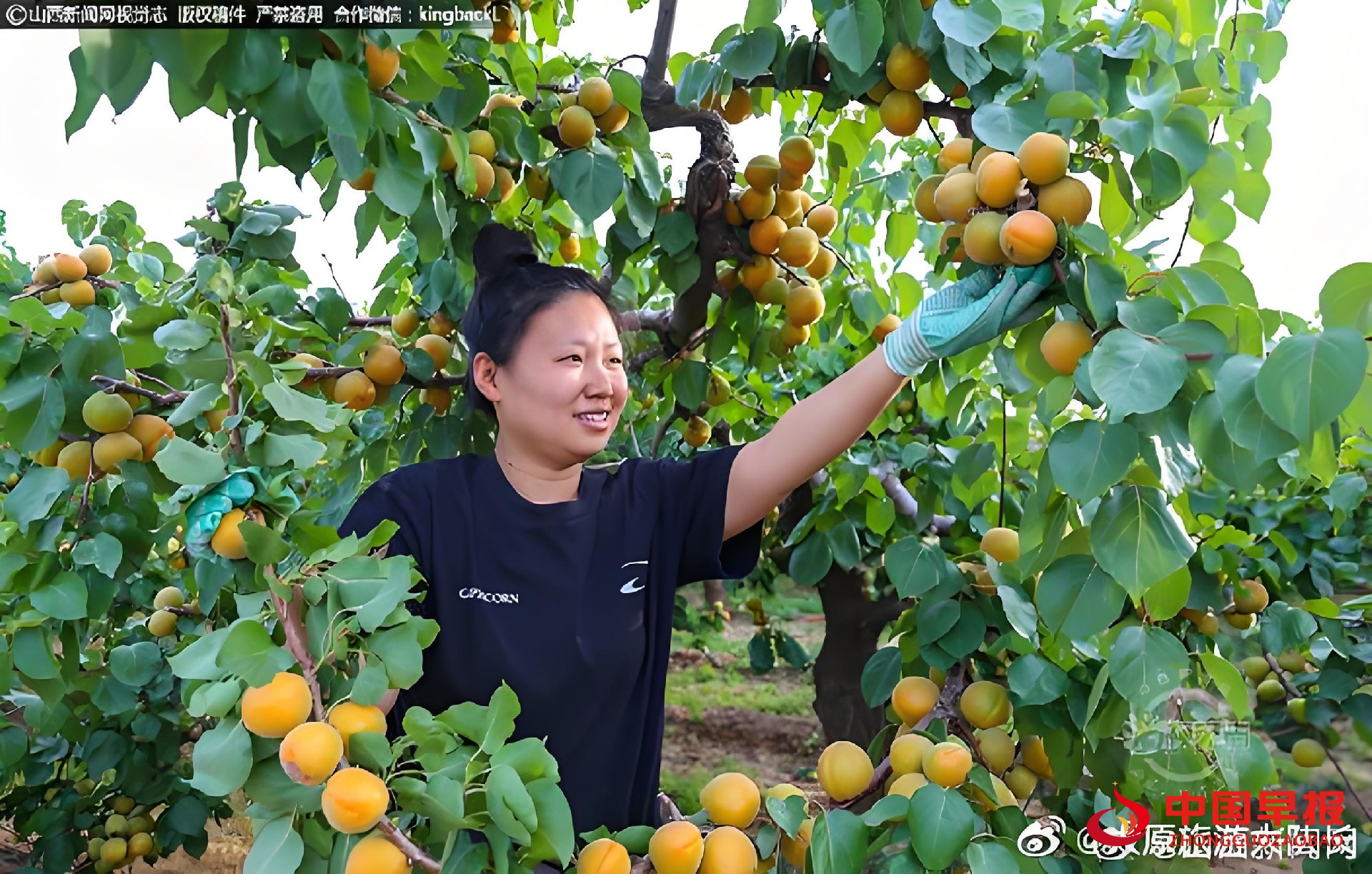 1752807144115320.jpg 图片05.jpg