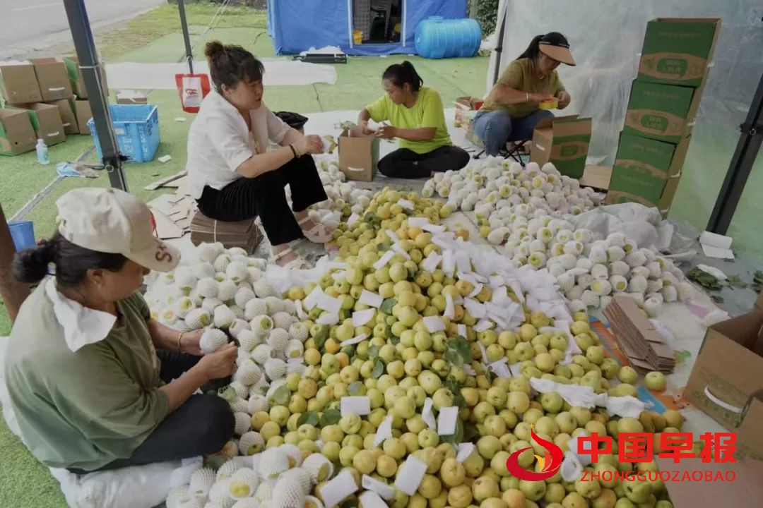 1752807277201257.jpg 图片07.jpg