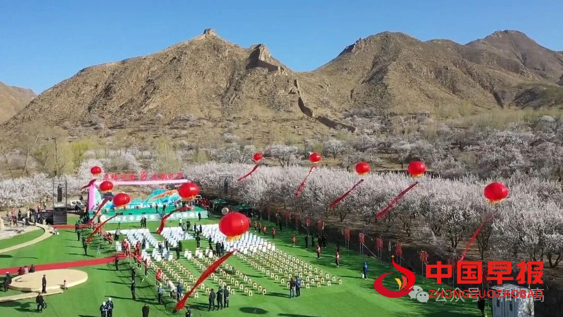 1752807539129459.jpg 图片011.jpg