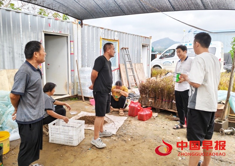 1753688928355607.jpg 1_副本.jpg