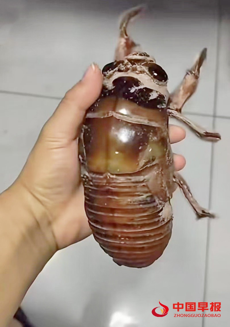 1753688936110110.jpg 2_副本.jpg