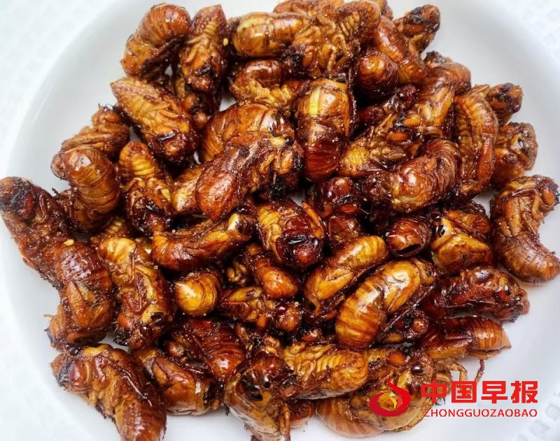 1753688945198635.jpg 3_副本.jpg