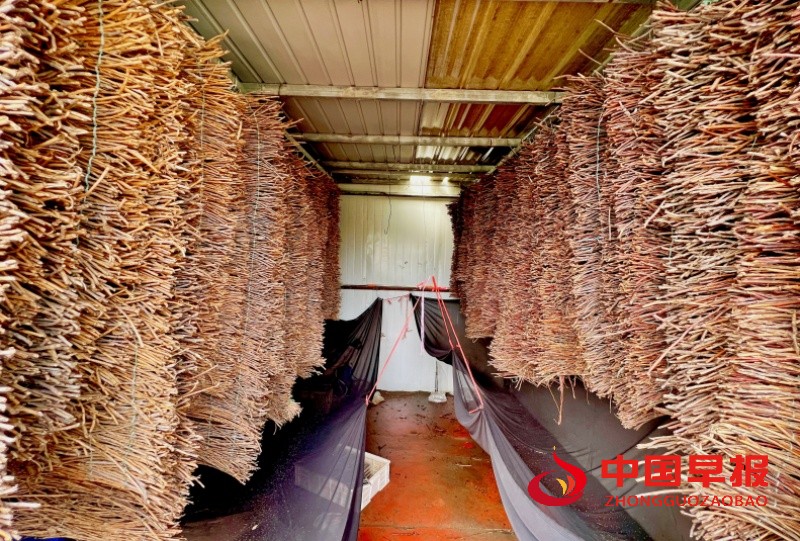 1753688964103118.jpg 5_副本.jpg