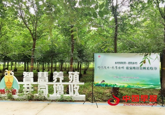 1753688973151460.jpg 6_副本.jpg