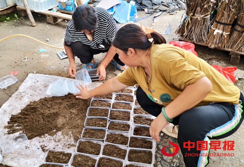 1753688980139669.jpg 7_副本.jpg