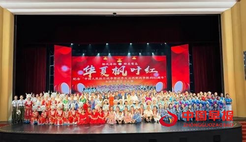 宜昌龙狮专委会赴厦参赛载誉归来, 多项大奖彰显实力与风采(图9) 宜昌龙狮专委会赴厦参赛载誉归来, 多项大奖彰显实力与风采(图9)