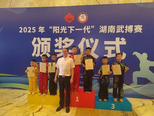 2025年“阳光下一代”湖南武搏赛桃江县武术队荣获佳绩(图4)