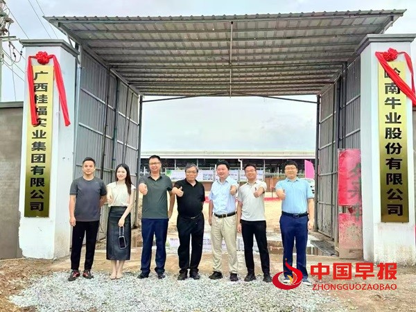 1755480135117365.jpg 1755480135117365.jpg