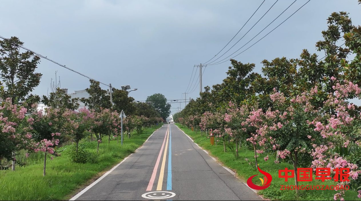 1755569071184606.png 1755569071184606.png