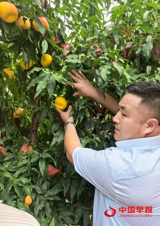 1755586255169410.jpg 3_副本.jpg