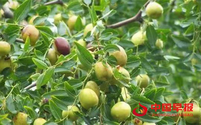 1755701944295168.jpg 微信图片_20250820225958_副本.jpg