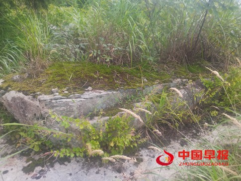 1755758242153005.jpg 4444.jpg