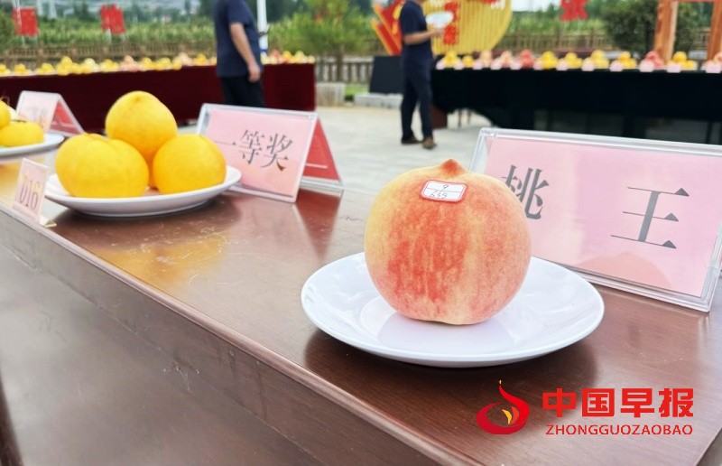 1755849574737109.jpg 1_副本.jpg