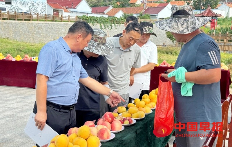 1755849583228066.jpg 2_副本.jpg